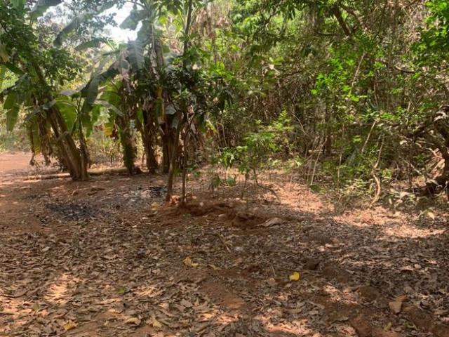 Agricultural Land in Gorai for resale Mumbai. The reference number is 10487148
