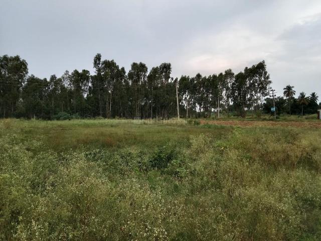 Agricultural Land in Gottamaranahalli for resale Bengaluru. The reference number is 20571202