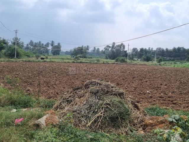 Agricultural Land in Gunjur Village for resale Bengaluru. The reference number is 13349236