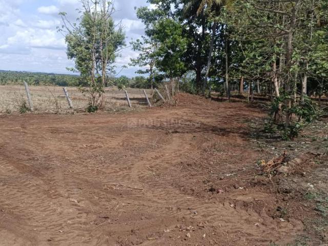 Agricultural Land in Hadjana for resale Mysore. The reference number is 21380864