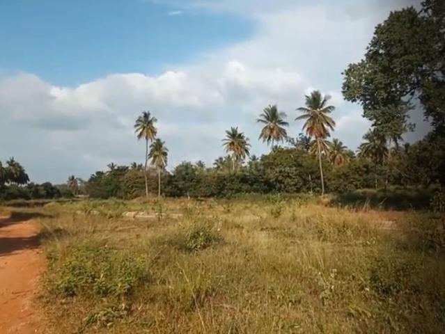 Agricultural Land in Hosahalli, Shrirangapattana for resale Mysore. The reference number is 20996621