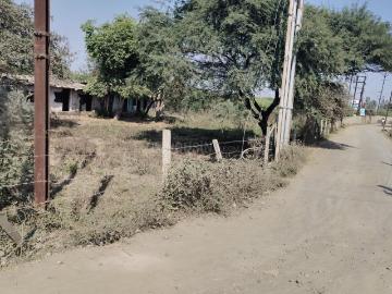 Agricultural Land in Hoshangabad Road for resale Bhopal. The reference number is 19645051