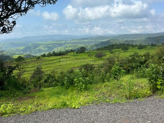 Agricultural Land in Jambhe for resale Pune. The reference number is 21130411