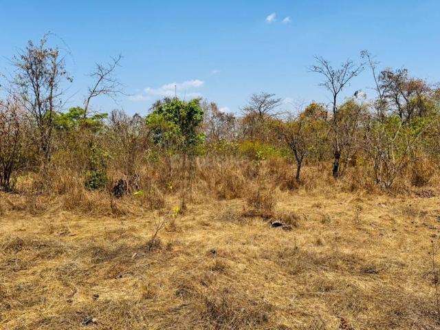 Agricultural Land in Jambhulpada for resale Raigad. The reference number is 20687350