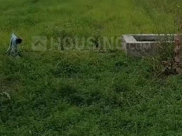 Agricultural Land in Jamsher Khera for resale Jalandhar. The reference number is 20437664