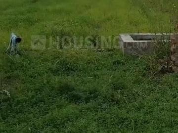 Agricultural Land in Jamsher Khera for resale Jalandhar. The reference number is 20437664