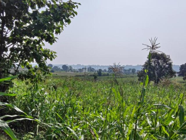 Agricultural Land in Jagat Pur Khadar for resale Dehradun. The reference number is 21245222