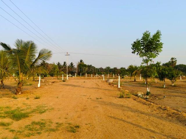 Agricultural Land in Kandukur for resale Hyderabad. The reference number is 21271469