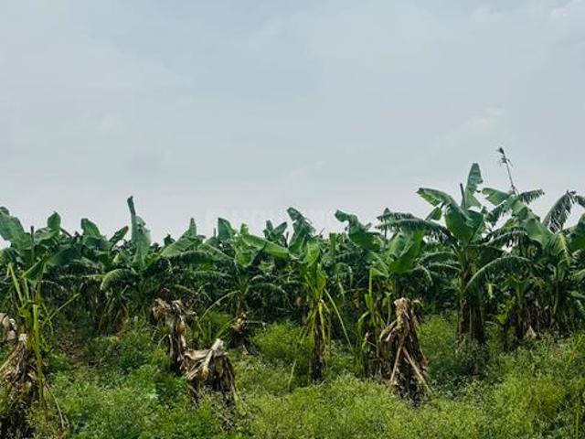 Agricultural Land in Kapasda for resale Durg. The reference number is 20690156