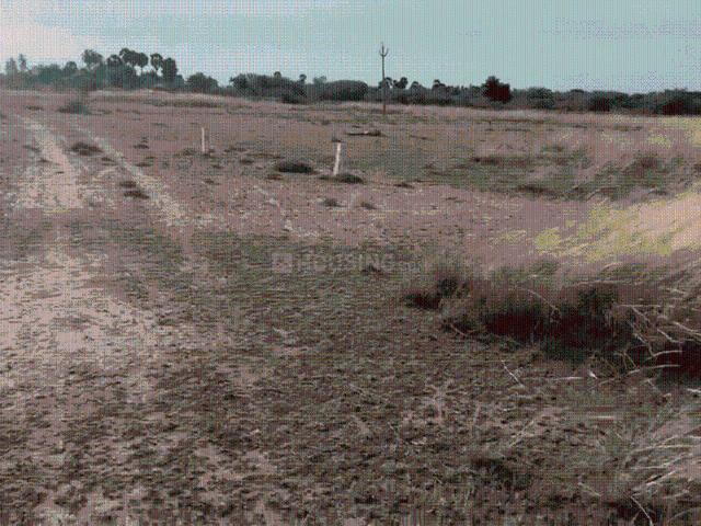 Agricultural Land in Kariapatti for resale Virudhunagar. The reference number is 21005051