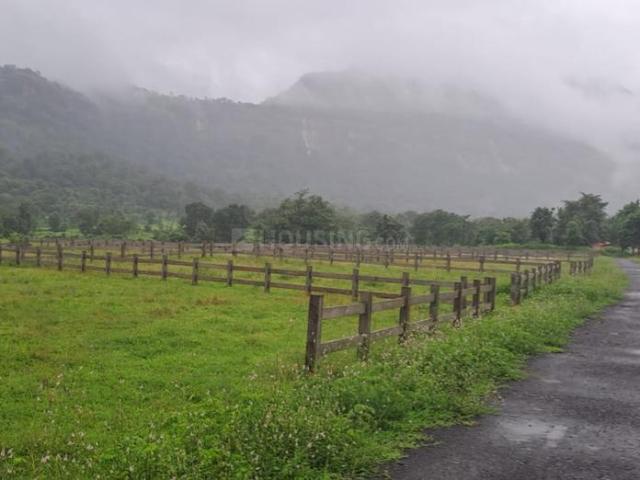 Agricultural Land in Kasara for resale Thane. The reference number is 20548274