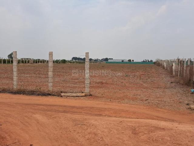Agricultural Land in Kempegowda International Airport for resale Bengaluru. The reference number is 21124039