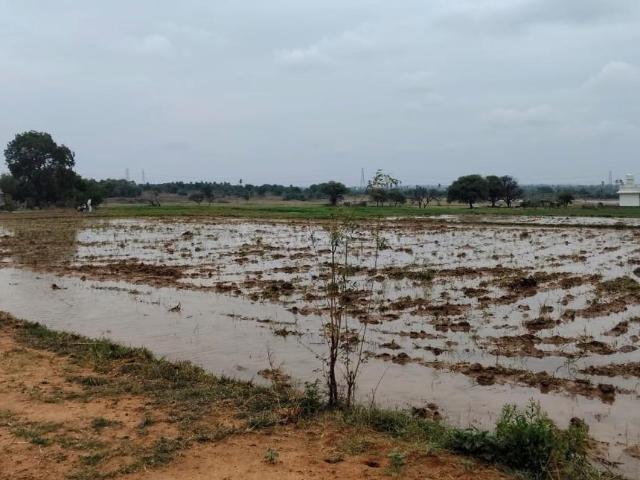 Agricultural Land in Keesara for resale Secunderabad. The reference number is 20876140
