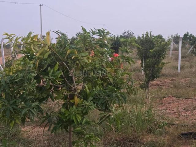 Agricultural Land in Keesara for resale Secunderabad. The reference number is 21330793