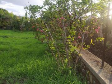 Agricultural Land in Khadakwasla for resale Pune. The reference number is 19248050