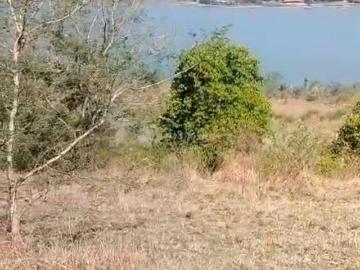 Sinhagarh, Pune District, Maharashtra