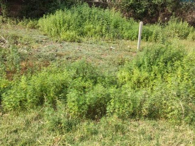 Agricultural Land in Kharar for resale Mohali. The reference number is 20436976