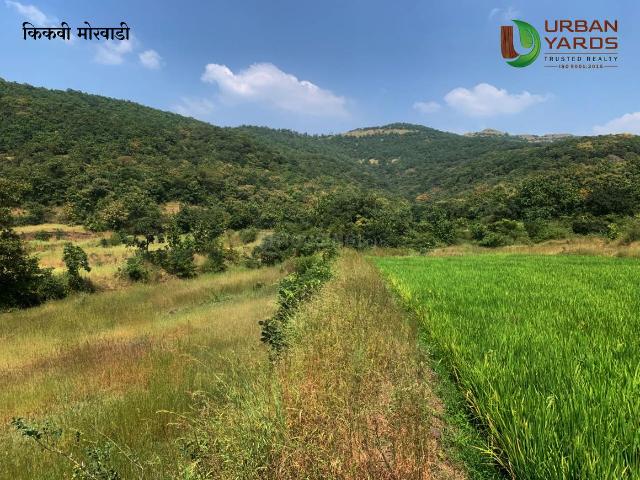 Agricultural Land in Khed Shivapur for resale Pune. The reference number is 21321391