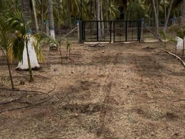 Agricultural Land in Kinathukadavu for resale Coimbatore. The reference number is 20858562