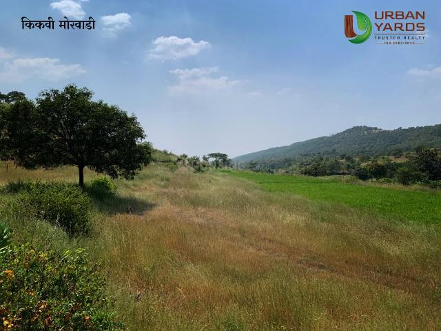 Agricultural Land in Kikvi for resale Pune. The reference number is 21317124