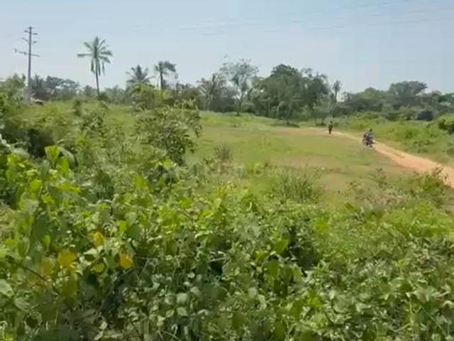 Agricultural Land in Kodihalli for resale Bengaluru. The reference number is 21390183