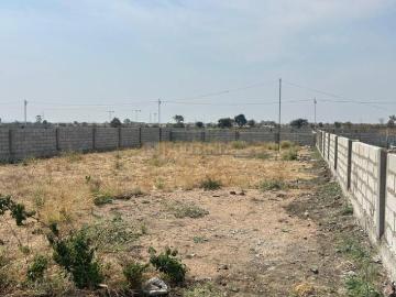 Agricultural Land in Kokta Bypass for resale Bhopal. The reference number is 17552398