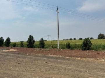 Agricultural Land in Kokta Bypass for resale Bhopal. The reference number is 17784582