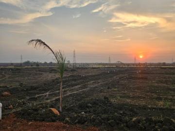 Agricultural Land in Kokta Bypass for resale Bhopal. The reference number is 19932514