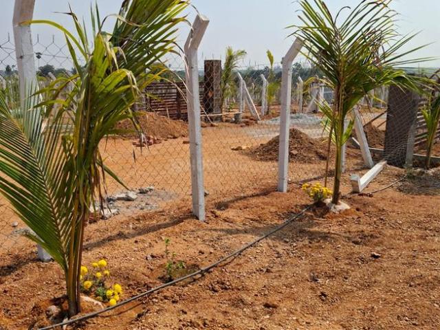 Agricultural Land in Kolanupaka for resale Yadadri Bhuvanagiri. The reference number is 20000819