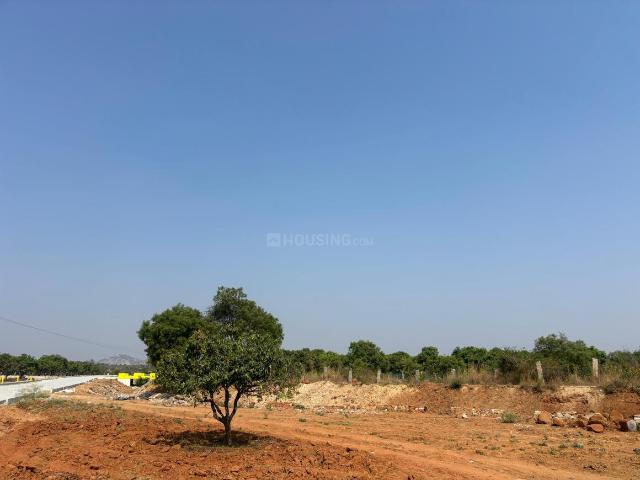 Agricultural Land in Kolar Town for resale Kolar. The reference number is 20720249