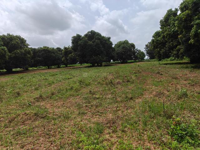 Agricultural Land in Kothapalle for resale Hyderabad. The reference number is 21054093