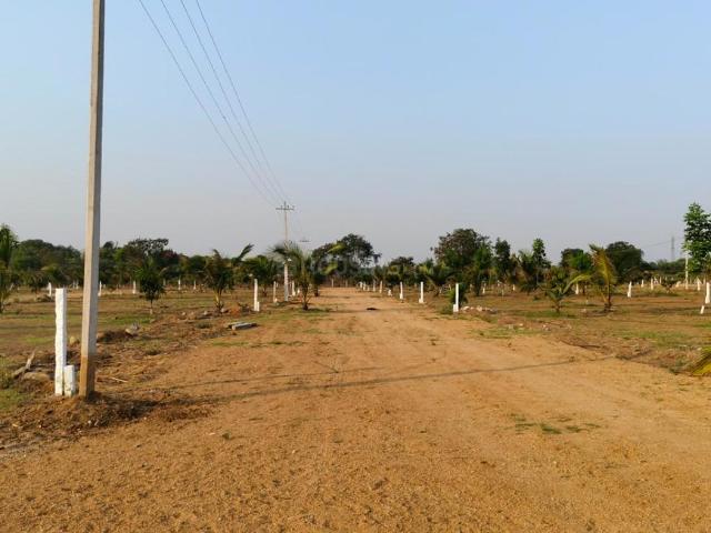 Agricultural Land in Kothur, Kandukur for resale Hyderabad. The reference number is 21276429