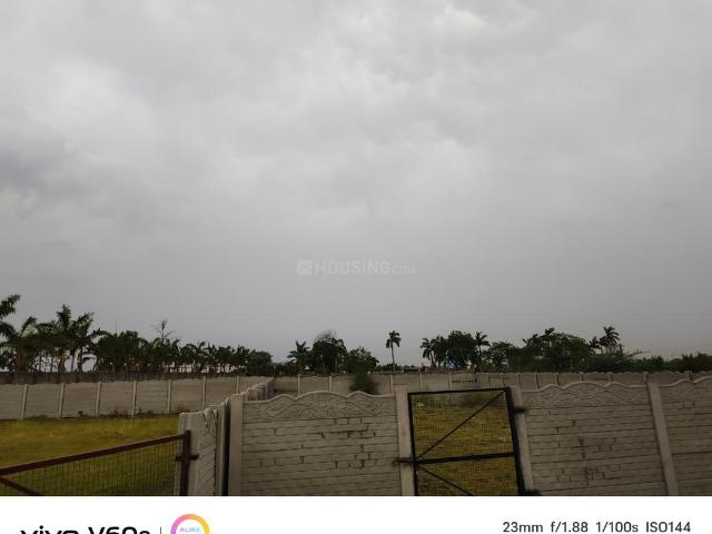 Agricultural Land in Kunhari for resale Kota. The reference number is 20367497