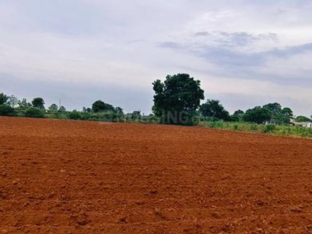 Agricultural Land in Mangalpally for resale Ranga Reddy. The reference number is 20707928