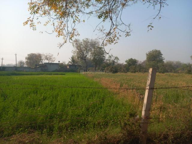 Agricultural Land in Manipur for resale Ahmedabad. The reference number is 19574900