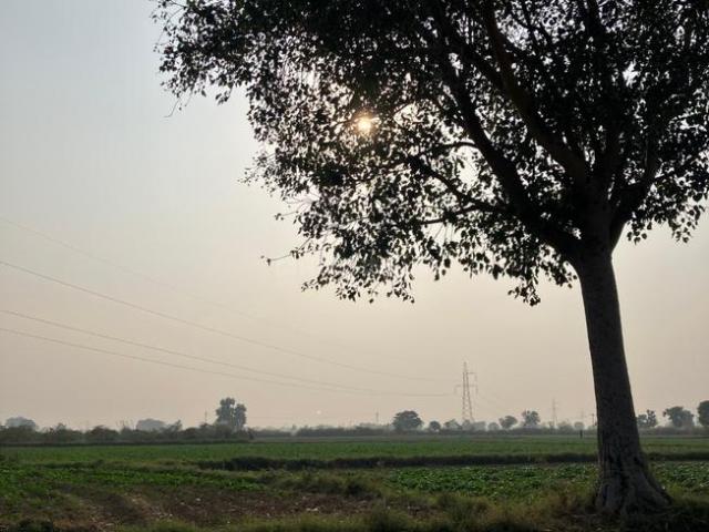 Agricultural Land in Mansarovar for resale Jaipur. The reference number is 19672066