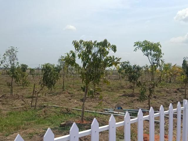 Agricultural Land in Madurantakam for resale Chennai. The reference number is 20238339