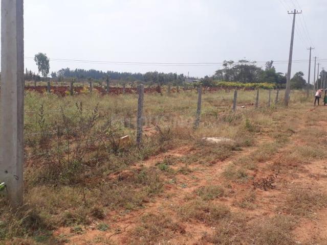 Agricultural Land in Madure for resale Bengaluru. The reference number is 21117226