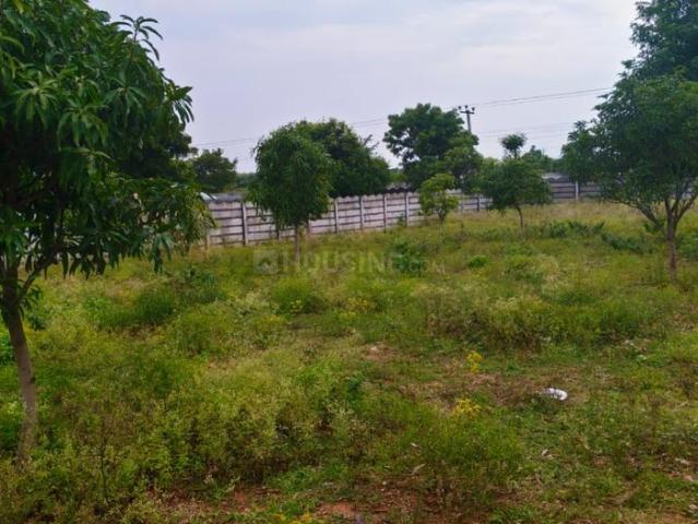 Agricultural Land in Maisigandi for resale Hyderabad. The reference number is 20824640