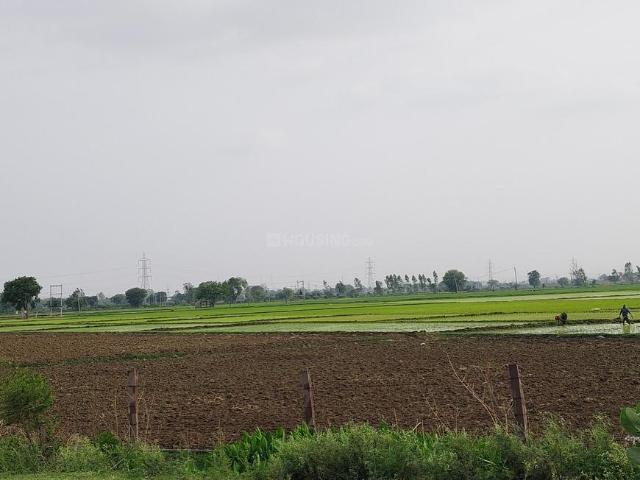 Agricultural Land in Mehrana for resale Bundi. The reference number is 20684359