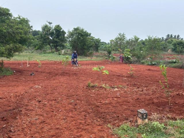 Agricultural Land in Melur for resale Madurai. The reference number is 21355406