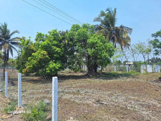 Agricultural Land in Melmaruvathur for resale Chennai. The reference number is 20211305