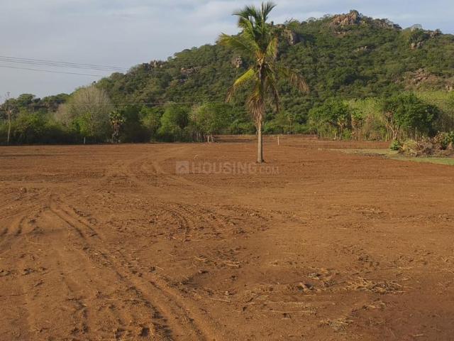 Agricultural Land in Mettupalayam, Vandavasi for resale Chennai. The reference number is 21140409