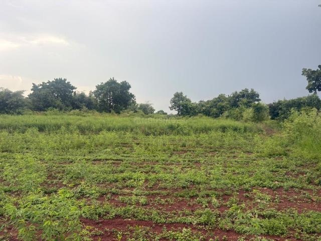 Agricultural Land in Mominpet for resale Hyderabad. The reference number is 21189224