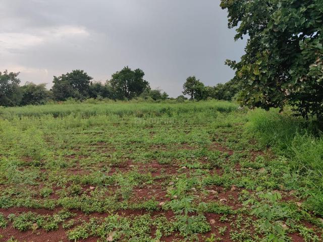 Agricultural Land in Mominpet for resale Hyderabad. The reference number is 21189230