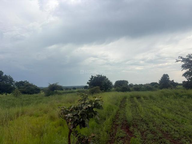 Agricultural Land in Mominpet for resale Hyderabad. The reference number is 21189237