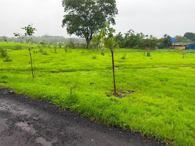 Agricultural Land in Murbad for resale Thane. The reference number is 20847685
