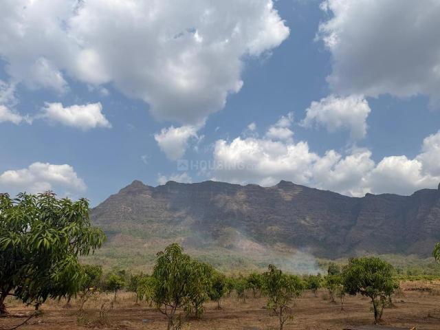 Agricultural Land in Murbad for resale Thane. The reference number is 20848111