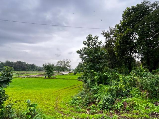 Agricultural Land in Murbad for resale Thane. The reference number is 20871689
