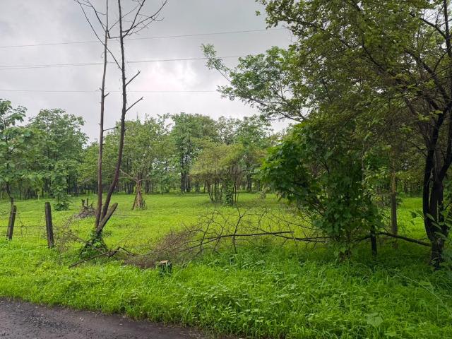 Agricultural Land in Murbad for resale Thane. The reference number is 20871864